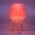 IMG_3427.jpg Jellyfish Desk Lamp [Medusa]