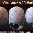 Skull-Anubis-3D-Model-Creature-Sculpted-by-Yacine-BRINIS-Set-005.jpg Skull Anubis