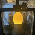 IMG_4182.jpg Egg Candling Attachment