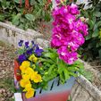 20190302_132428.jpg bunte Gärten