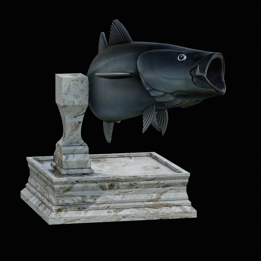 coalfish-open-mouth-statue-box-6.png COALFISH / POLLACHIUS VIRENS trophy with storage space for 3d printing