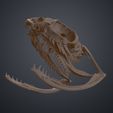snake-skull-biga-stl-3d-print-3demon.175.jpg Realistic Snake Skull Collection