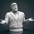 Trump-21.jpg Donald Trump 3D Printable Bust