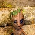 Baby Groot