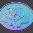 DOG28_IMAGE2.png DOG 28