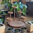 The-fam-Jam.jpg Plant Stand(Clean Geometric & Holds 5 Plants)