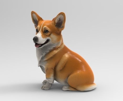 c2.jpg Corgi assis