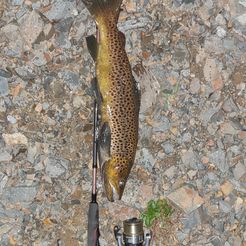20230513_174655.jpg trout lure