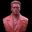 Screenshot_1.jpg Terminator Arnold Schwarzenegger Bust
