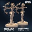 resize-001-11.jpg Seekers of the Ethernal Moon ALL VARIANTS - MINIATURES 2023