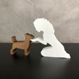 WhatsApp-Image-2023-01-20-at-17.09.22.jpeg Girl and her Chihuahua(wavy hair) for 3D printer or laser cut