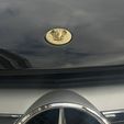 IMG_2113.jpg Mercedes C class Hood Emblem