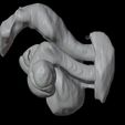 14.jpg 3D Model of Pelvis Organs