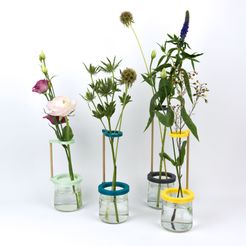 Shooting Pots et impression 3D - 2018 02 10 - 1.jpg STL-Datei Stem vase / Vase to be fixed on a glass pot・Modell zum Herunterladen und 3D-Drucken