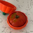 x3.jpg Quick-Lock Tomato Saver Container