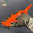 Hammerhead_new-v2_5.jpg Flexi Hammerhead Shark Set – Articulated Ocean Animal STL