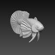 z5494651688772_e2bec39c61cbfd68fb5df0323b877b98.jpg Betta Fish Dumble - Ready For 3D Printing