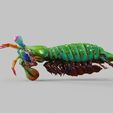 Mantis-Shrim.1936.jpg Mantis Shrimp VRML Color 3d print & STL  -stomatopods