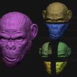22.jpg King Monkey Mask - Kingdom of The Planet of The Apes
