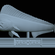 mahi-mahi-mouth-statue-36.png fish mahi mahi / common dolphin fish open mouth statue detailed texture for 3d printing