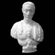 resize-0dc7fedd58c3c24e410308fe59bae43177e98bc9.jpg Julius Caesar at The Metropolitan Museum of Art, New York