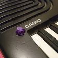 DSC_4929.jpg Casio Keyboards Power and Volume Knobs