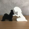 WhatsApp-Image-2022-12-26-at-17.47.34.jpeg Girl and her lhasa apso (wavy hair) for 3D printer or laser cut
