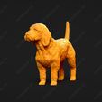 881-Basset_Fauve_de_Bretagne_Pose_03.jpg Basset Fauve de Bretagne Dog 3D Print Model Pose 03