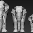 01.jpg Elephant asian