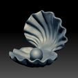 shell-01.jpg Ostra