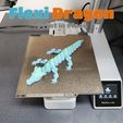Dragon-2.jpg Cute Flexi Dragon / Cute flexible dragon - Print in Place