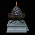 Dusky-grouper-5.png fish dusky grouper / Epinephelus marginatus statue detailed texture for 3d printing