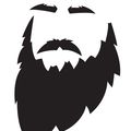 GreyBeard3D