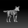 wolf55_1.jpg Wolf - worlf for unity3d - wolf for ue5 -3d wolf for game - wolf toy