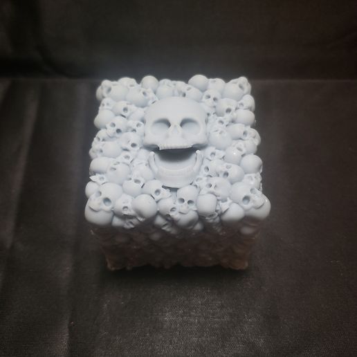 The Skull Box 3D model