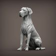 german-dog4.jpg German Dog 3D print model