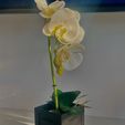image0.jpeg Flower Pot English Tudor / Classic