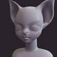 0010.png 14 sculpted heads