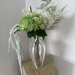 IMG_5892.jpeg Vase Fleurie