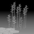 04.jpg Realistic forest trees for tabletop wargaming, maquettes, dioramas and other applications