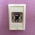 IMG_0669.jpg Philips Hue dimmer adapter Busch Jaeger