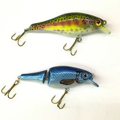eae STL file Shad Fishing Lure・3D printer design to download