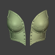Screenshot-2026-04-29-014331.png Laced Steel Breast Plates