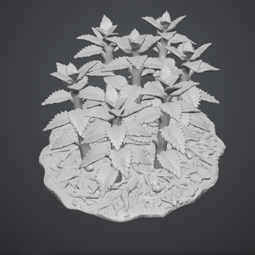 nettle patch