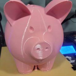 20230320_050807.jpg Piggy Bank