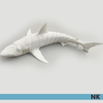 GREAT_WHITE_NK_02.png FLEXI ARTICULATED GREAT WHITE SHARK