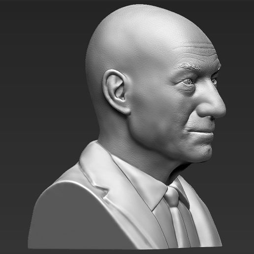 professor-x-charles-xavier-bust-ready-for-full-color-3d-printing-3d-model-obj-mtl-fbx-stl-wrl-wrz-2.jpg Professor X Charles Xavier from X-Men bust full color 3D printing