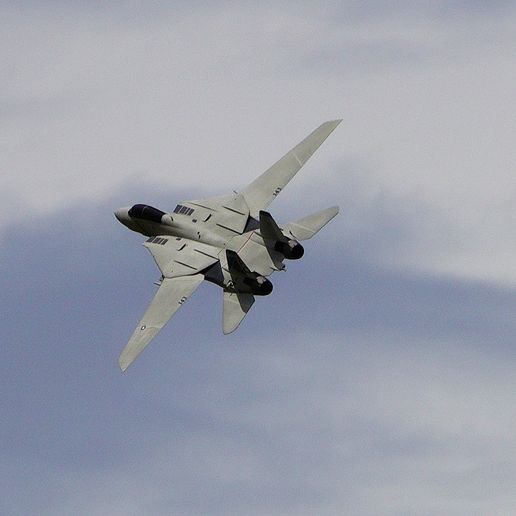 F-14-In-Flight-3.jpg F-14 RC Aircraft (Twin 50mm Fan, 1050mm span)