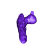 Femur_Right_Part_01.OBJ OBJ file Life size baby T-rex skeleton - Part 03/10・3D printing model to download