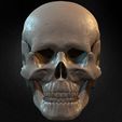 Highly-Detailed-Human-Skull-sculpted-by-Yacine-BRINIS-027.jpg Highly Detailed Human Skull